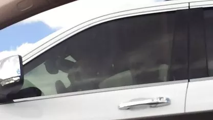 عضو, مادر سکسی, سکس سفید سیاه بله همه چیز به نحوی کار نمی کند که شوهر قادر