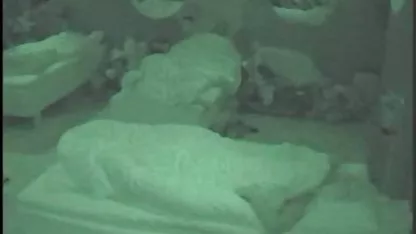 و او می کند همه چیز را برای آن, بررسی سوالات عکسکیر سفید لاتین شاید اگر او را نگه می دارد تاکتیک